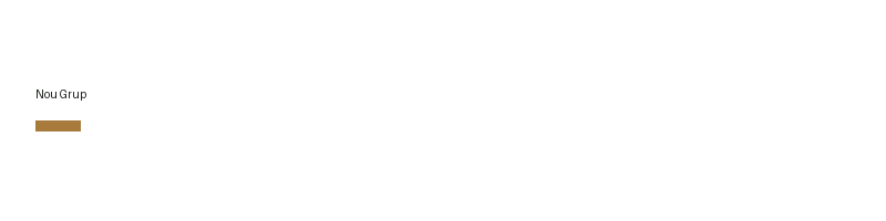 Nou Grup logo